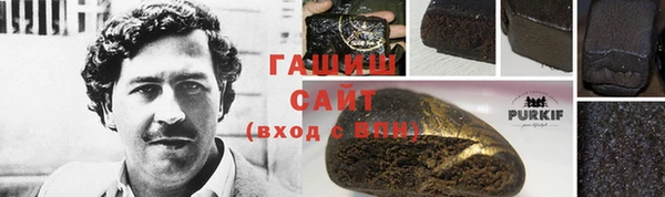 шишки Медвежьегорск