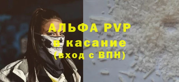 шишки Медвежьегорск