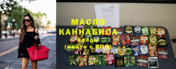 гидра Бердск