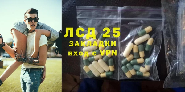 шишки Медвежьегорск